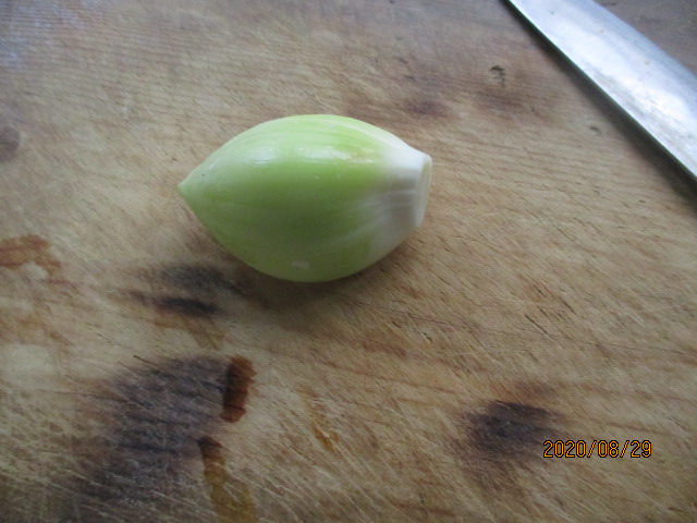 f:id:siegfried9th:20200829230636j:plain