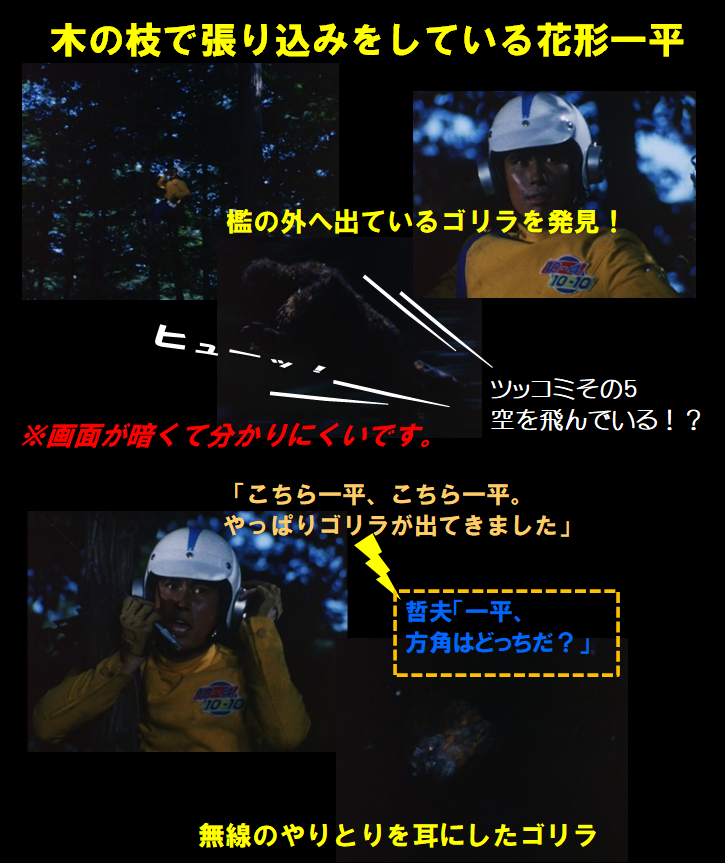 f:id:siegfried9th:20210512220417p:plain