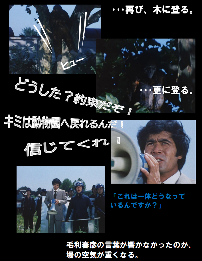 f:id:siegfried9th:20210528202949p:plain
