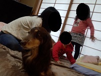 f:id:siegreinsayaka:20190327172031j:plain f:id:siegreinsayaka:20190327172031j:plain