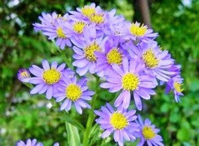 f:id:sien2006:20151104180040j:image f:id:sien2006:20151104180040j:image