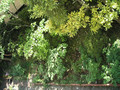 20080318030243
