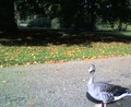 20080510221326