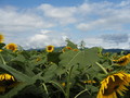 20080627220902