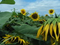 20080627220912