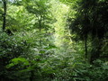 20080627223058