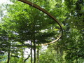 20080628004603