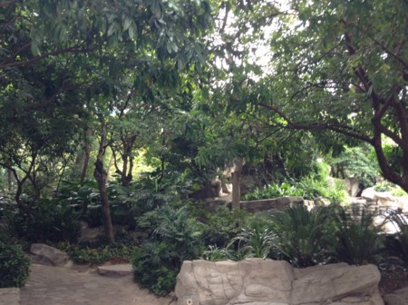 f:id:siesta003:20140922151408j:image:w260:left