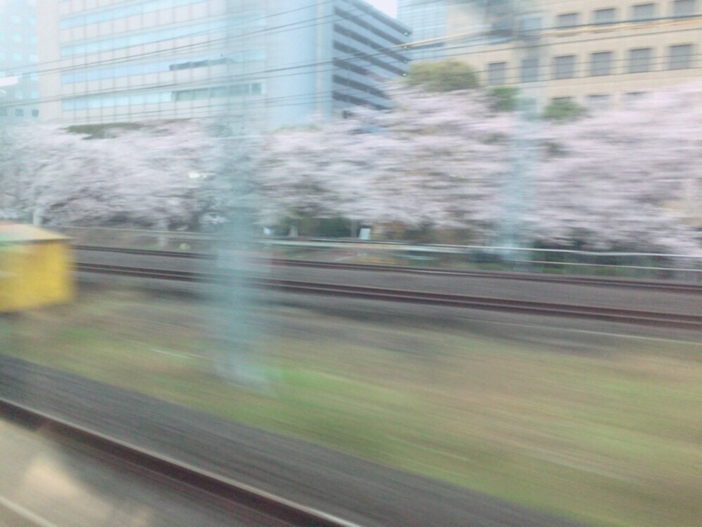 f:id:siestasuki:20160403062639j:image f:id:siestasuki:20160403062639j:image