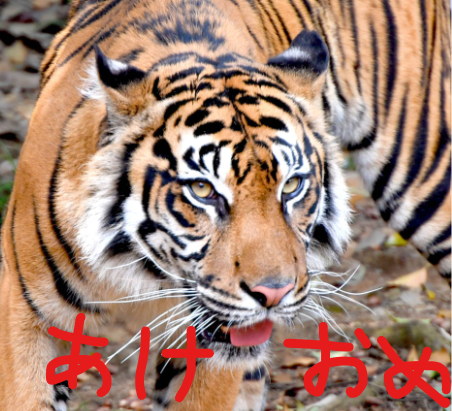 f:id:sifu:20220102203806p:plain