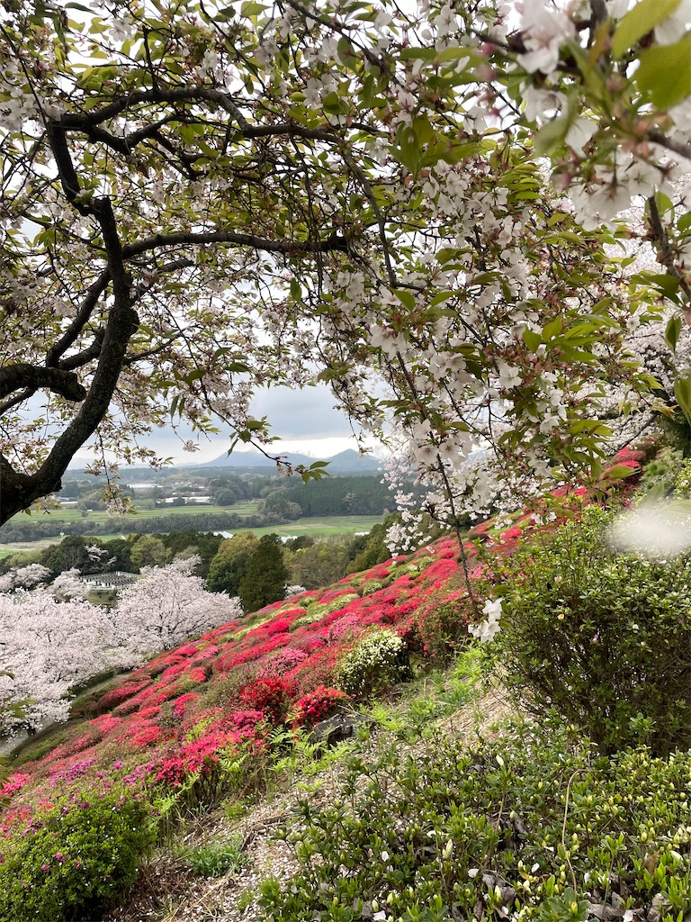 f:id:sifukunoniwa:20260404194541j:image