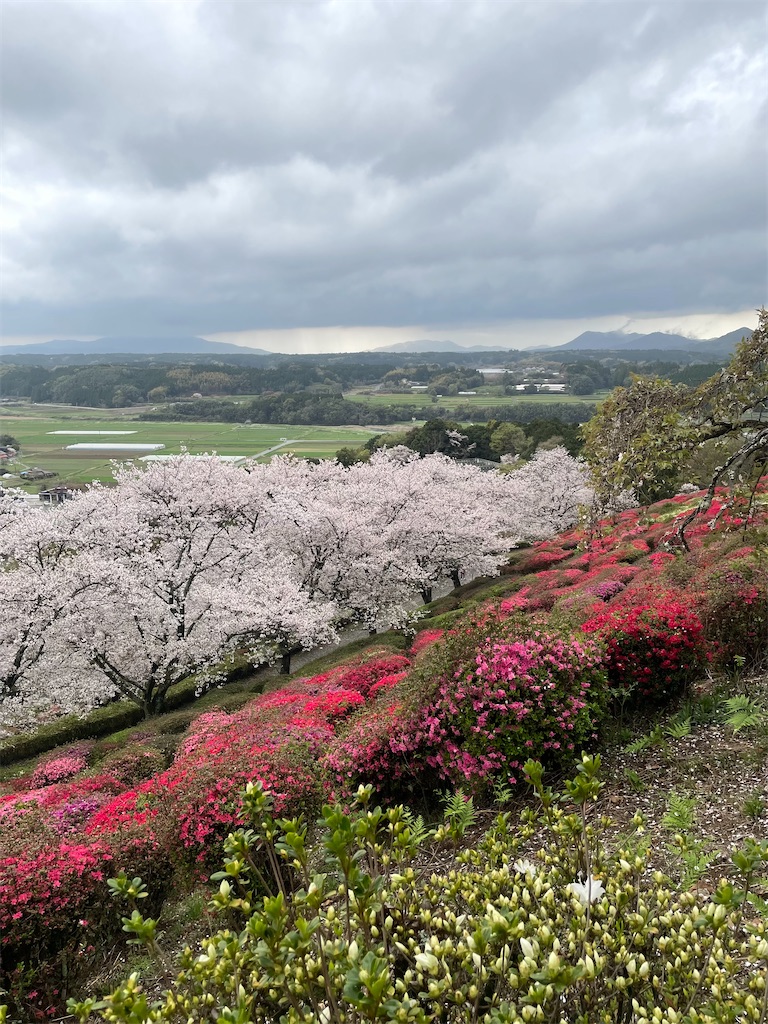f:id:sifukunoniwa:20260404194544j:image