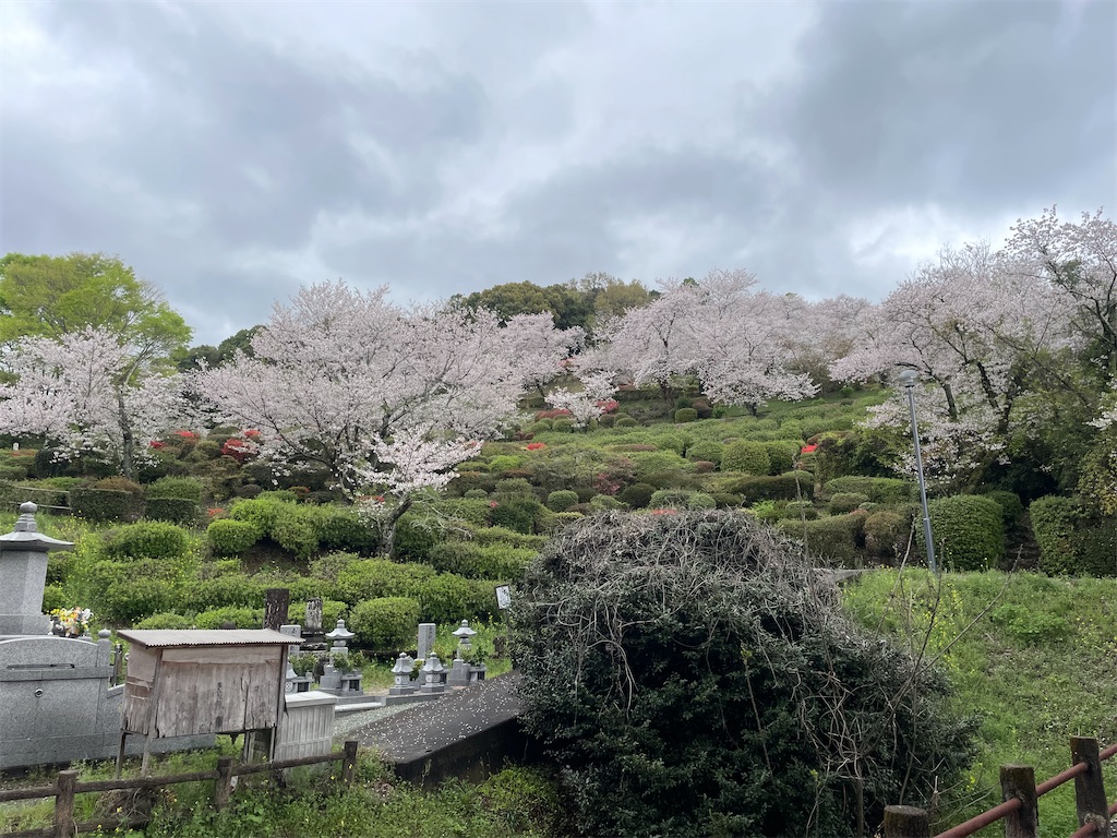 f:id:sifukunoniwa:20260404194558j:image