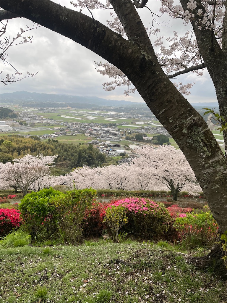 f:id:sifukunoniwa:20260404194602j:image