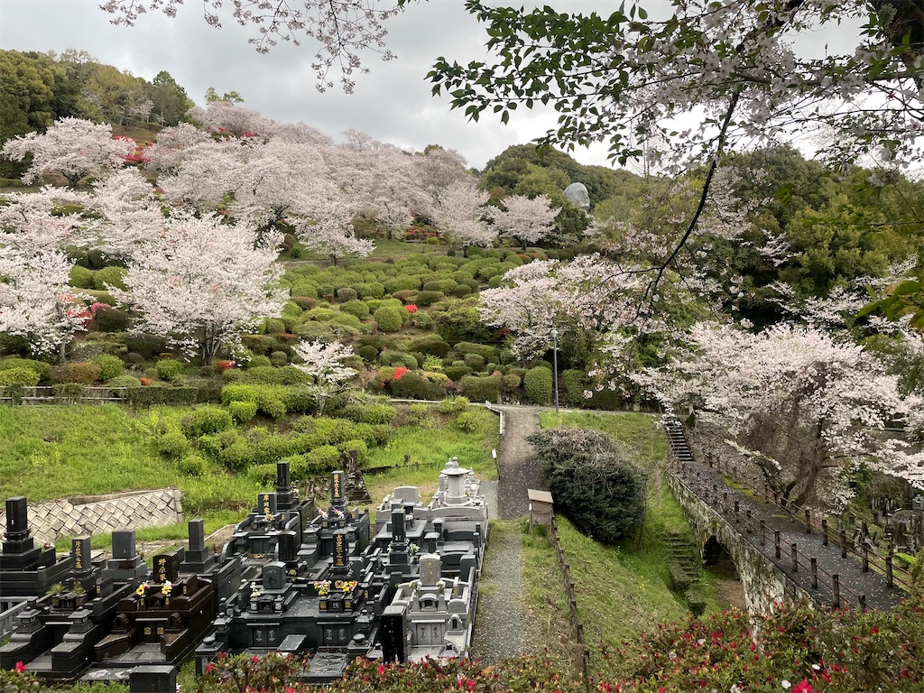 f:id:sifukunoniwa:20260404194607j:image