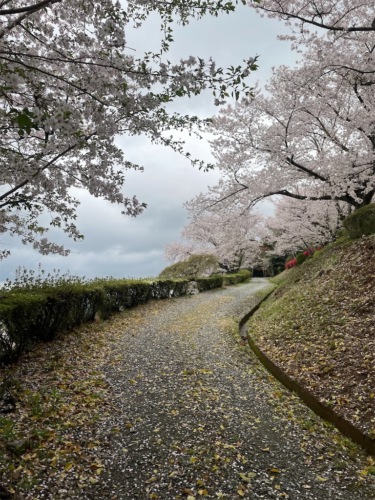 f:id:sifukunoniwa:20260404194611j:image