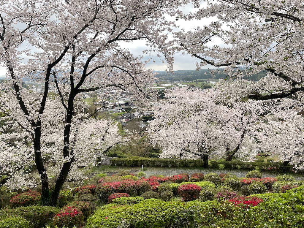 f:id:sifukunoniwa:20260404194617j:image