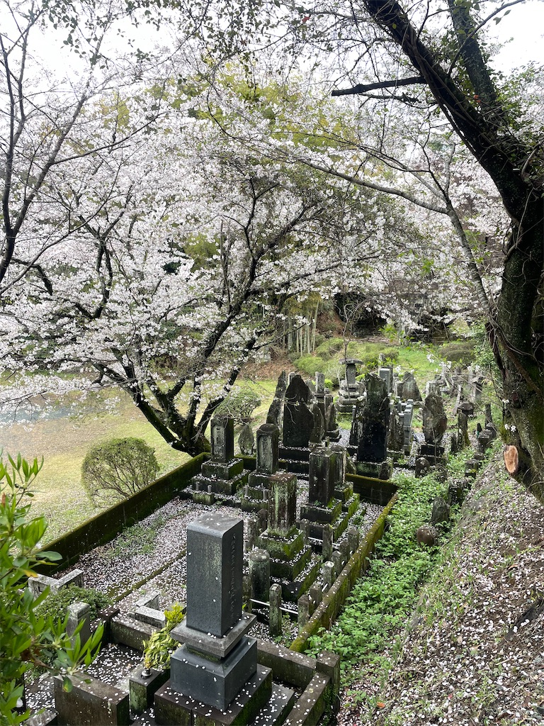f:id:sifukunoniwa:20260404194620j:image
