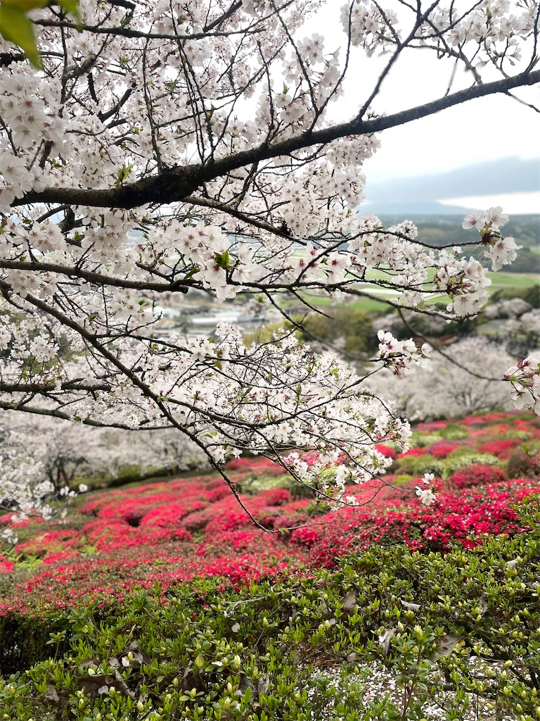 f:id:sifukunoniwa:20260404194626j:image