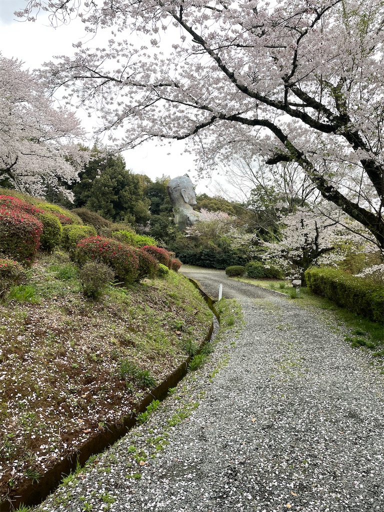 f:id:sifukunoniwa:20260404194629j:image