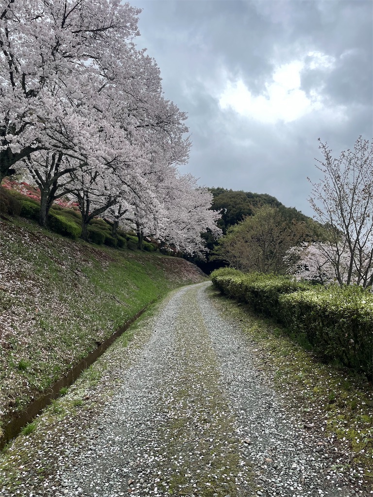 f:id:sifukunoniwa:20260404194637j:image
