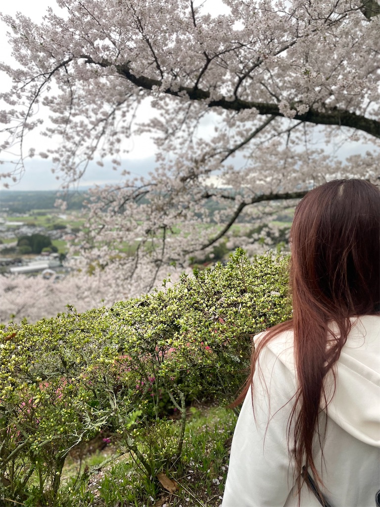 f:id:sifukunoniwa:20260404194643j:image