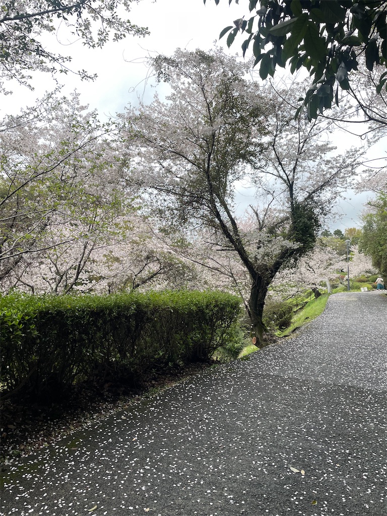 f:id:sifukunoniwa:20260404194652j:image