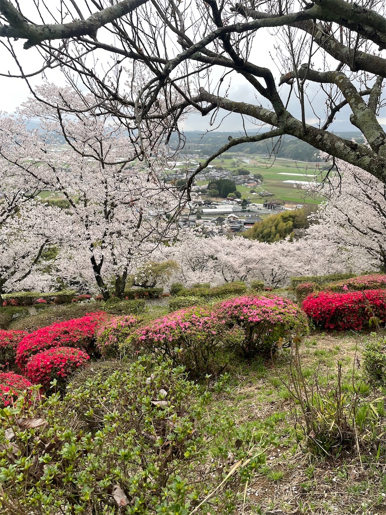 f:id:sifukunoniwa:20260404194658j:image