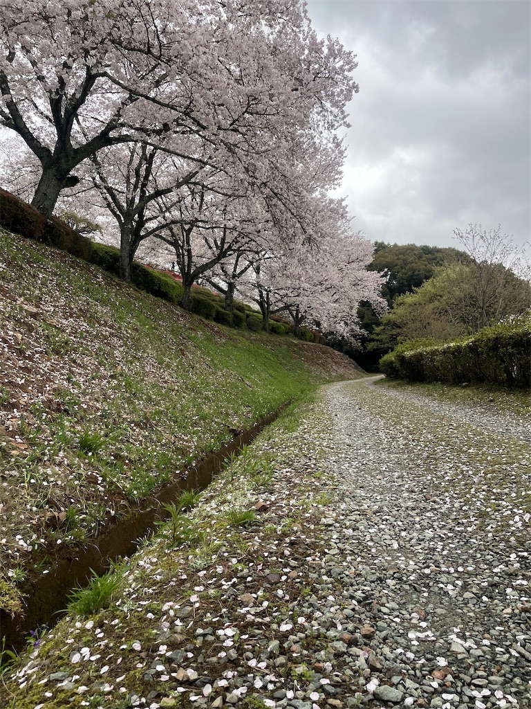 f:id:sifukunoniwa:20260404194701j:image