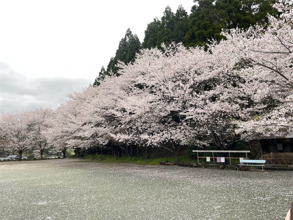 f:id:sifukunoniwa:20260404194707j:image