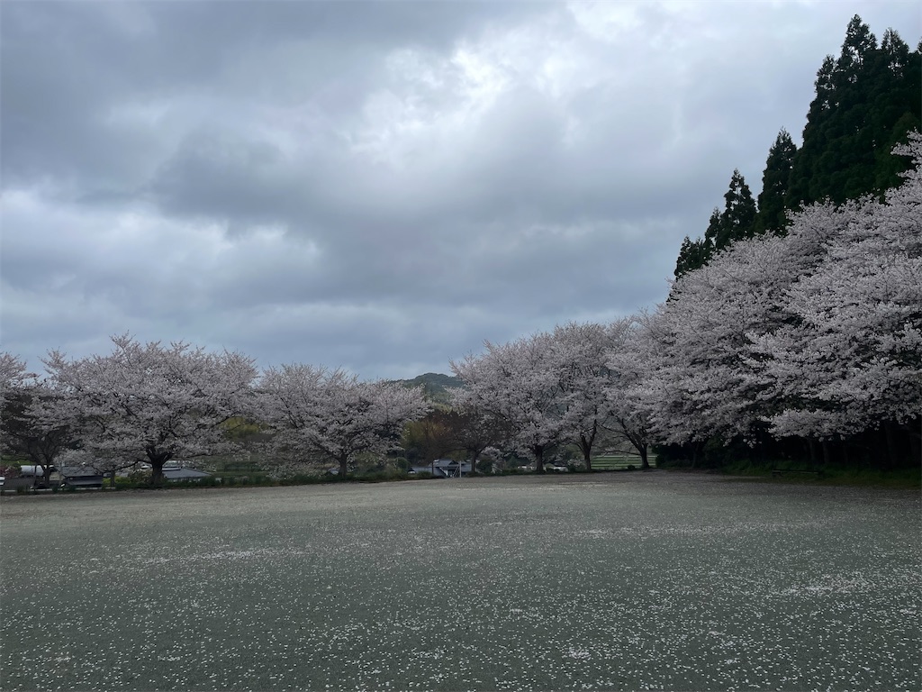 f:id:sifukunoniwa:20260404194719j:image