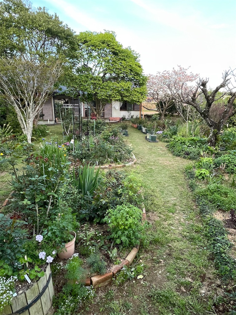 f:id:sifukunoniwa:20260408192249j:image