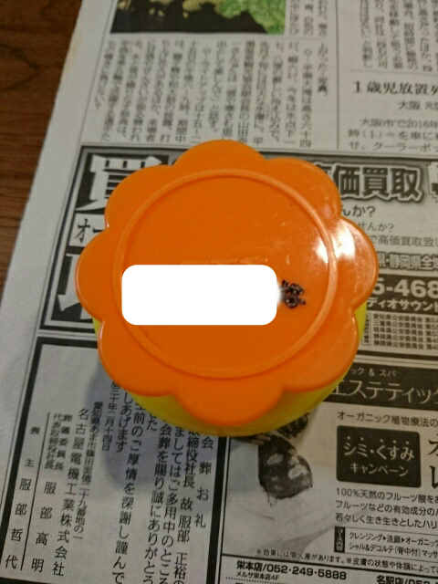 f:id:sige0412:20180223154926j:image f:id:sige0412:20180223154926j:image