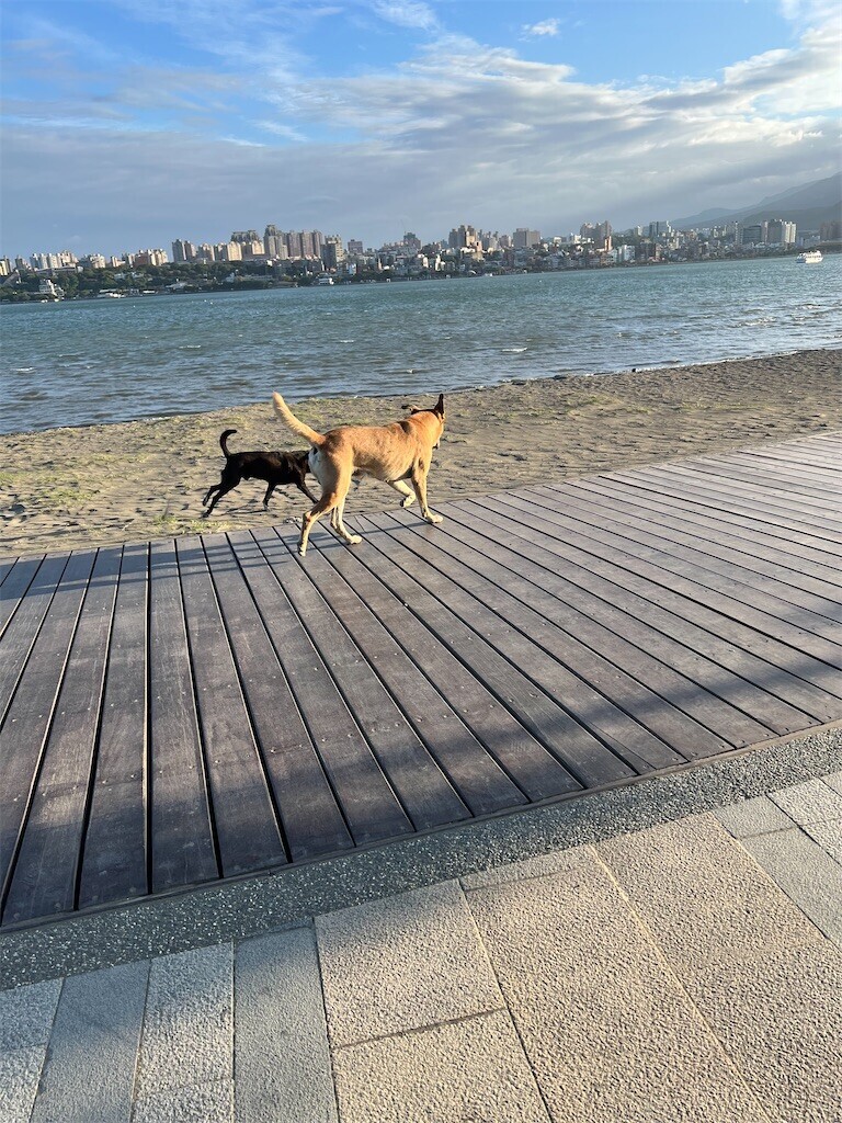 f:id:sigeimpact:20231126232746j:image