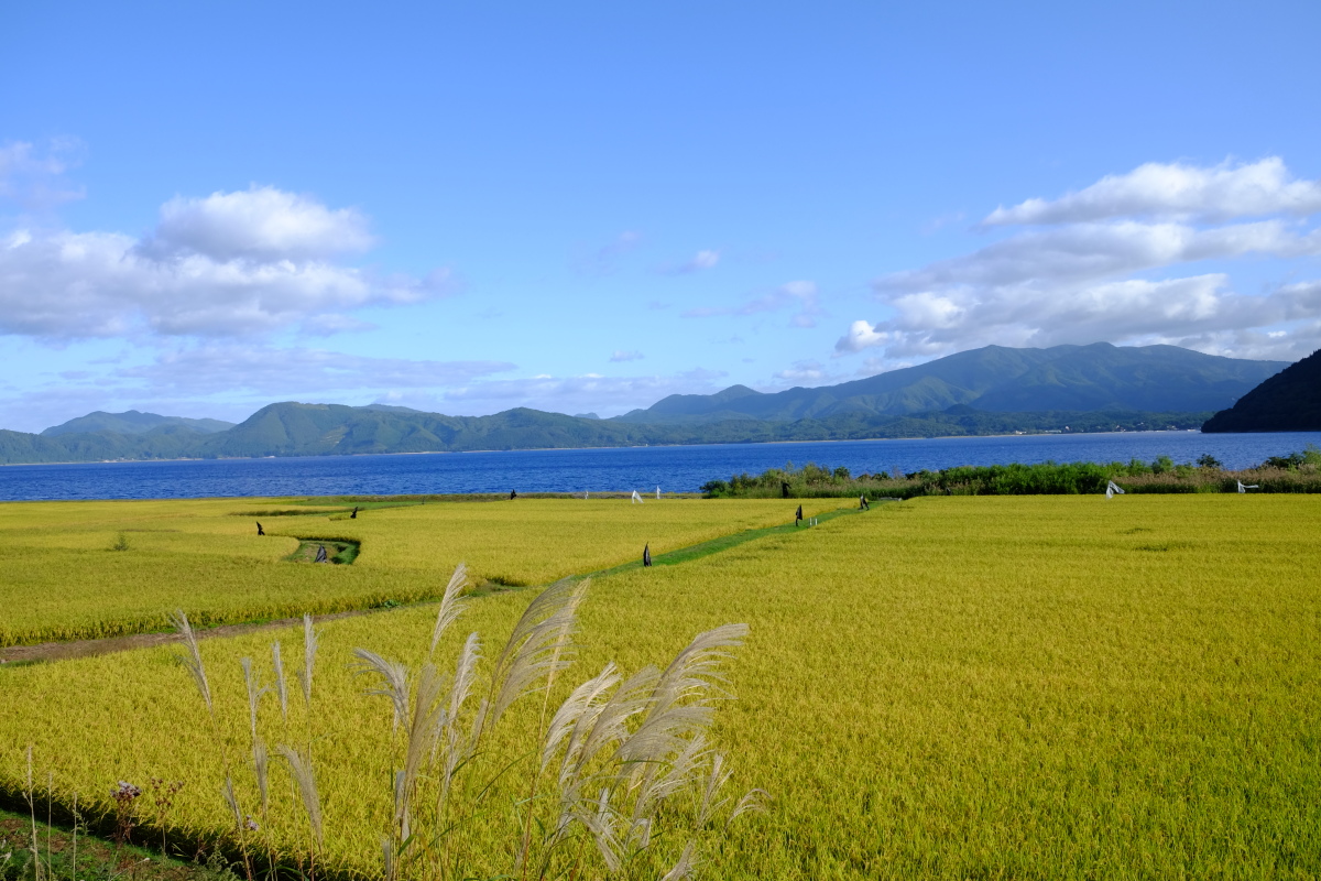 f:id:sigemaro:20191022154600j:plain f:id:sigemaro:20191022154600j:plain