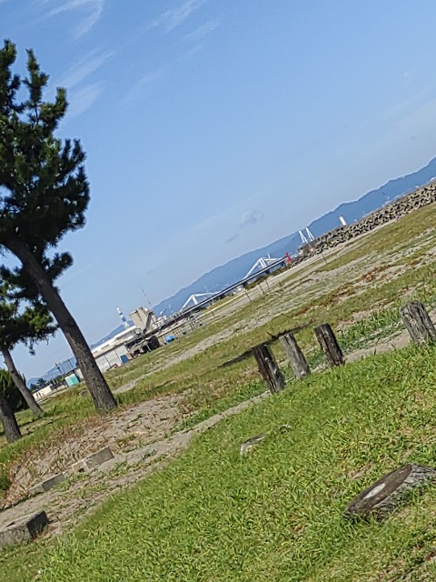 f:id:sigeneko:20260819081933j:image