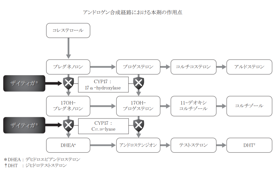 アビラテロンサンファーマアセテートブル