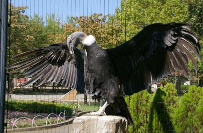 f:id:siglumi:20181007154415j:plain