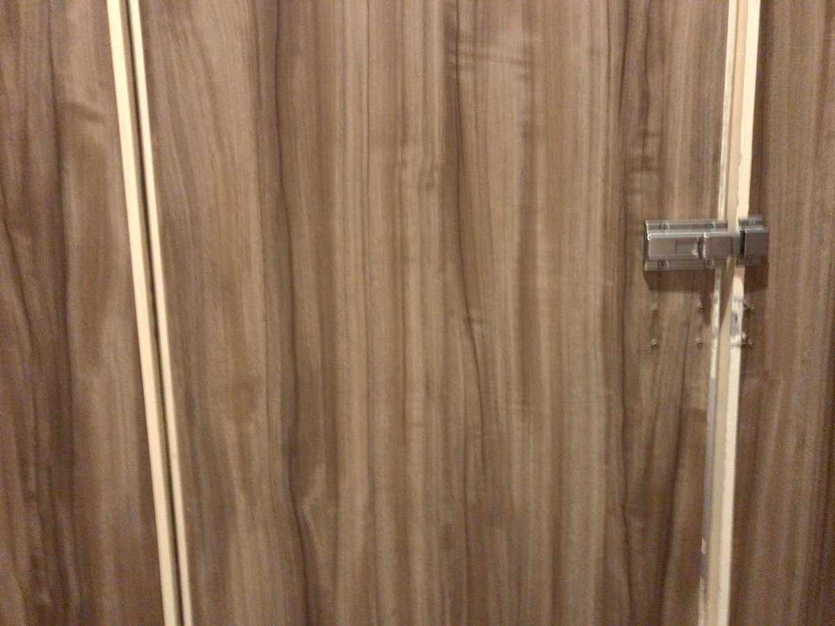 f:id:signakong:20200321010209j:plain