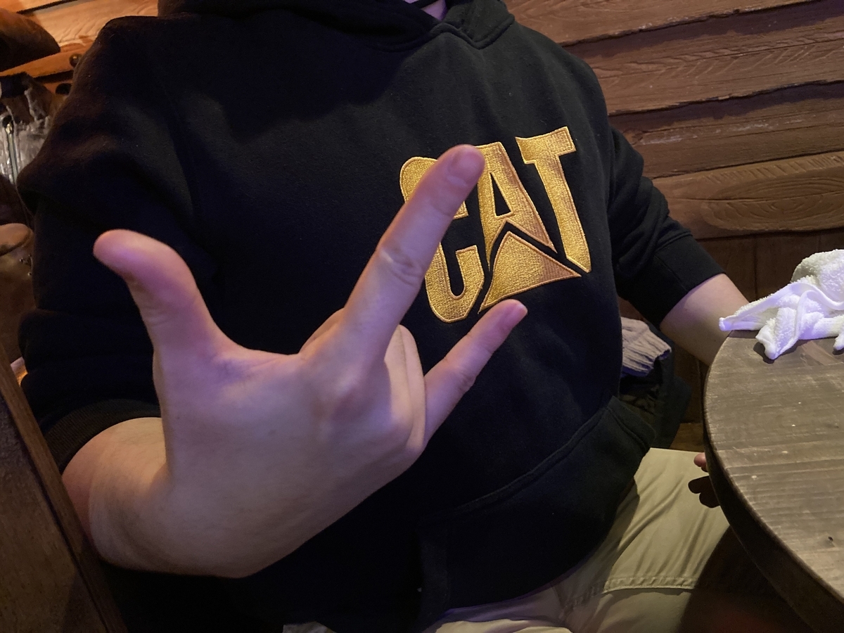 f:id:signakong:20220103000252j:plain