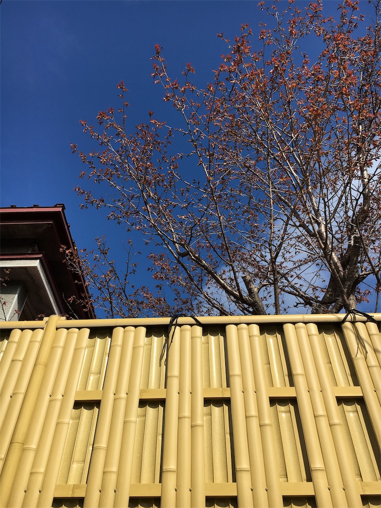 f:id:signal51:20180508215504j:image