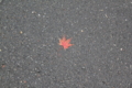 20111015091955