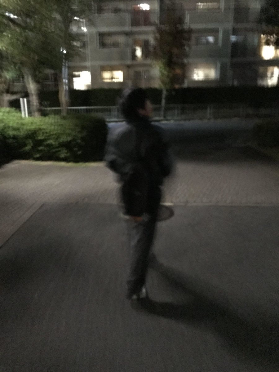 f:id:sihoryo:20191115001009j:plain f:id:sihoryo:20191115001009j:plain