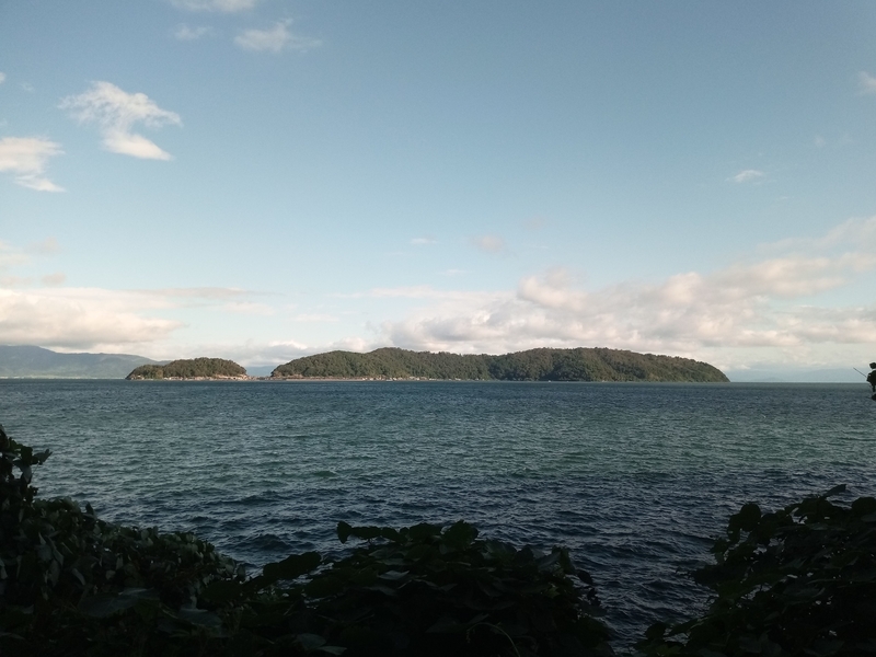 f:id:siiimooo:20191104065838j:plain