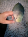 20100419120414
