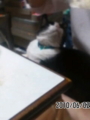 20100602191724