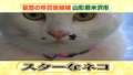 20100901144429