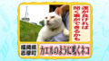 20100901145213