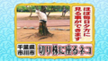 20100901145335