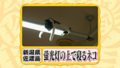 20100901163041